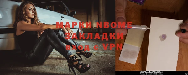 прущие грибы Белокуриха