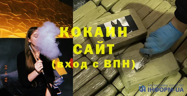 прущие грибы Белокуриха