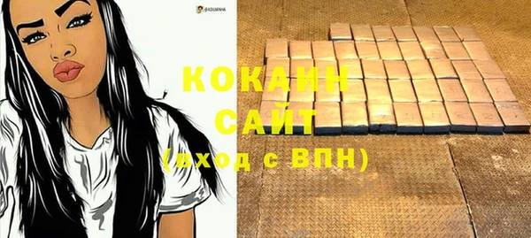 прущие грибы Белокуриха