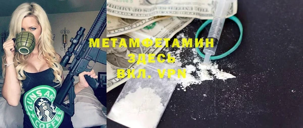 прущие грибы Белокуриха
