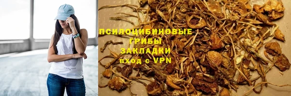 СК Беломорск