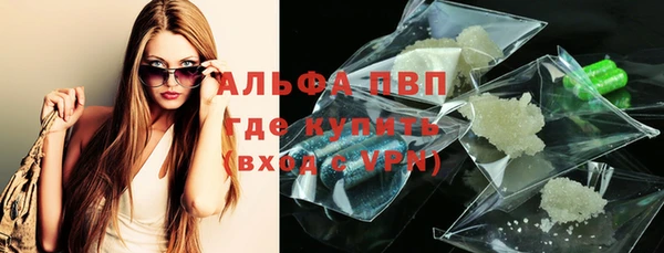 прущие грибы Белокуриха