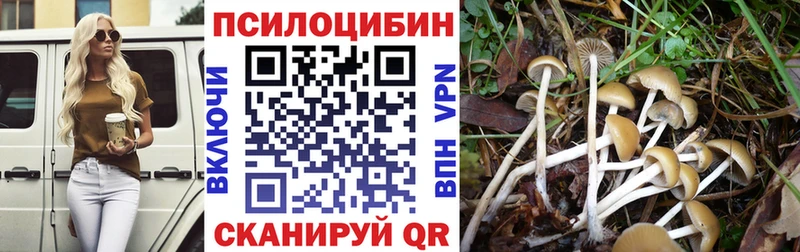 Псилоцибиновые грибы прущие грибы  Калининец 